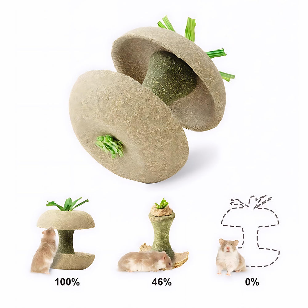 mini-moe forma nucleo manzana, añade variedad en forraje y juego.