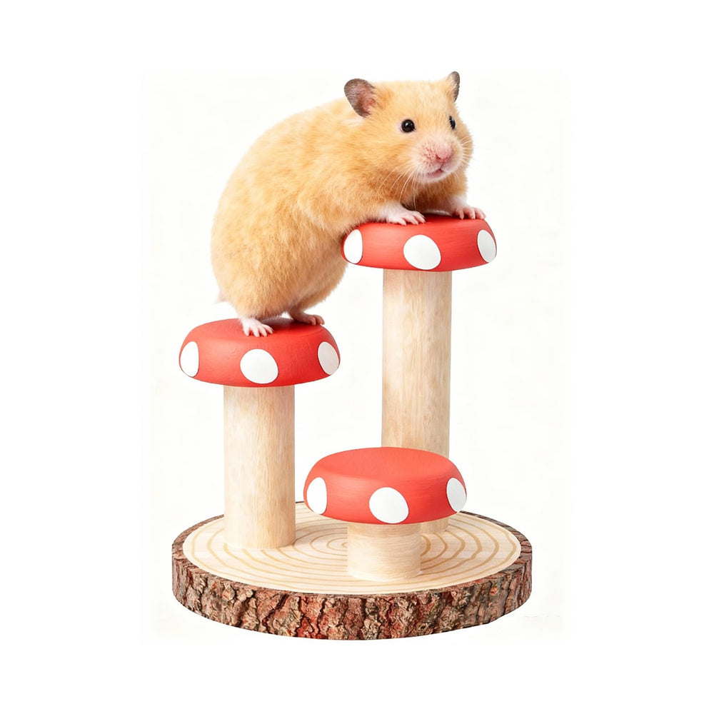 mini-moe hamster escalera hongo rotatoria favorece exploración y ejercicio