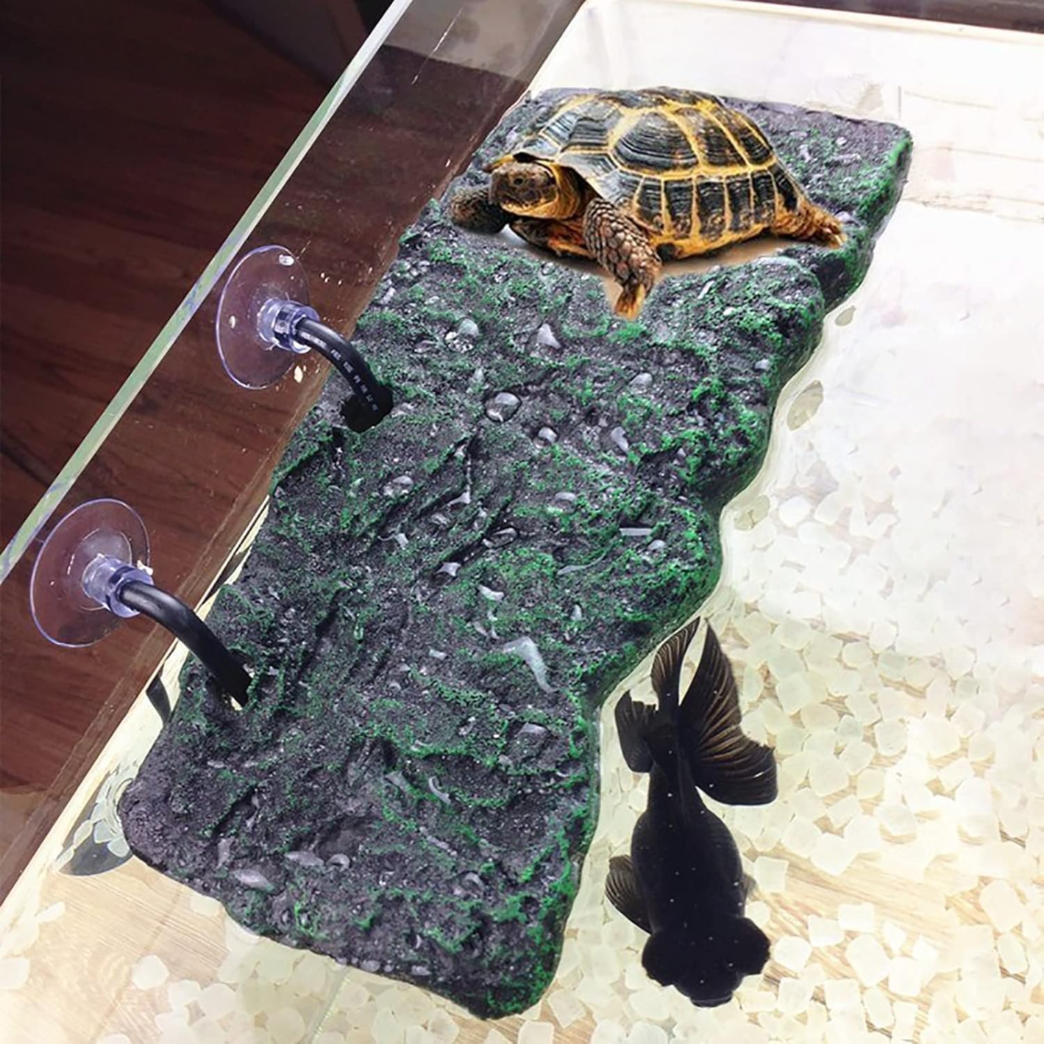 Minidiva plataforma flotante para tortugas, descanso estable en acuario.