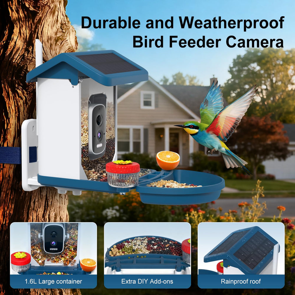 MINIXTEC detección IA identifica aves, ideal para aprender especies en casa.