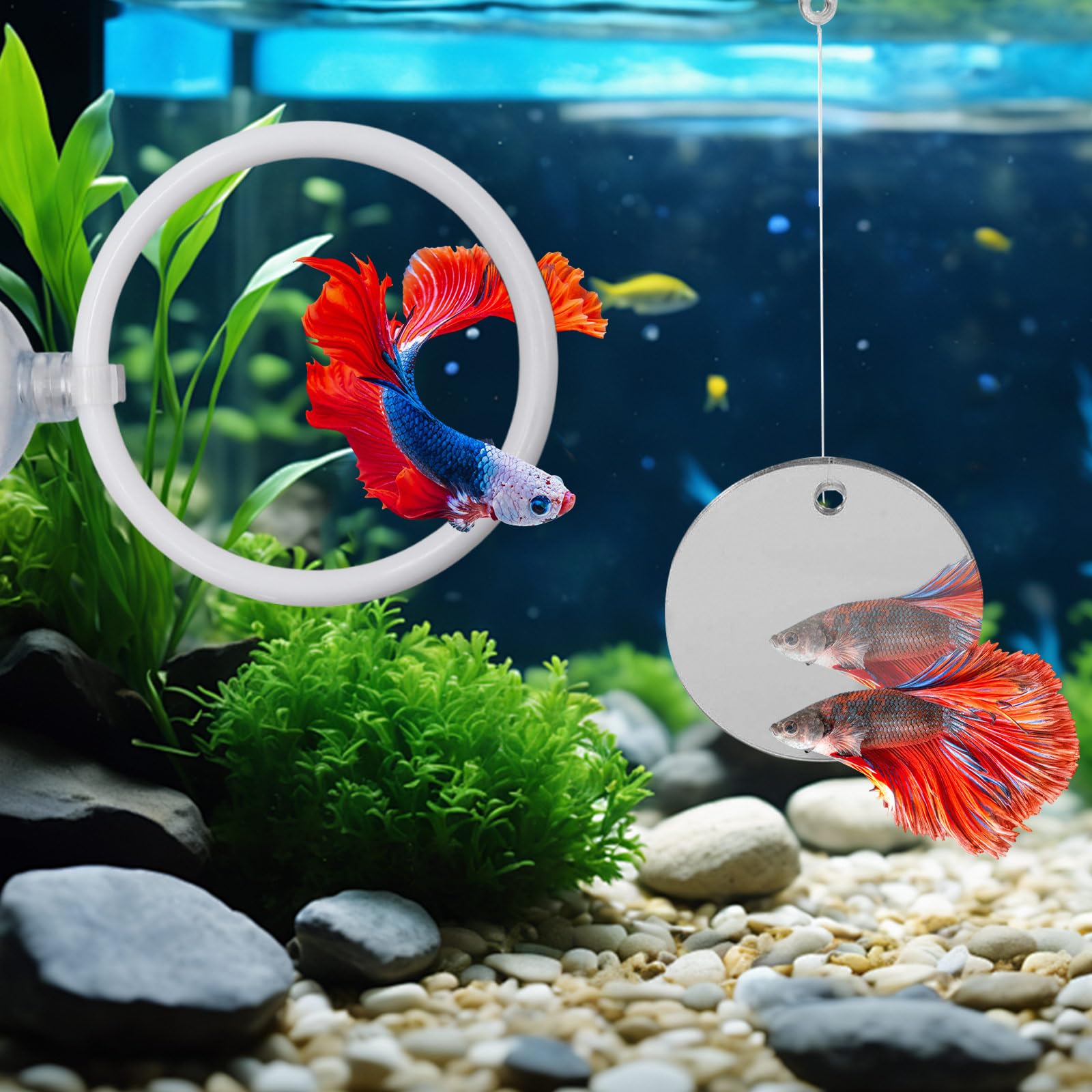 Juguetes enriquecimiento para bettas con MinrzPet, ideal en acuarios pequeños.
