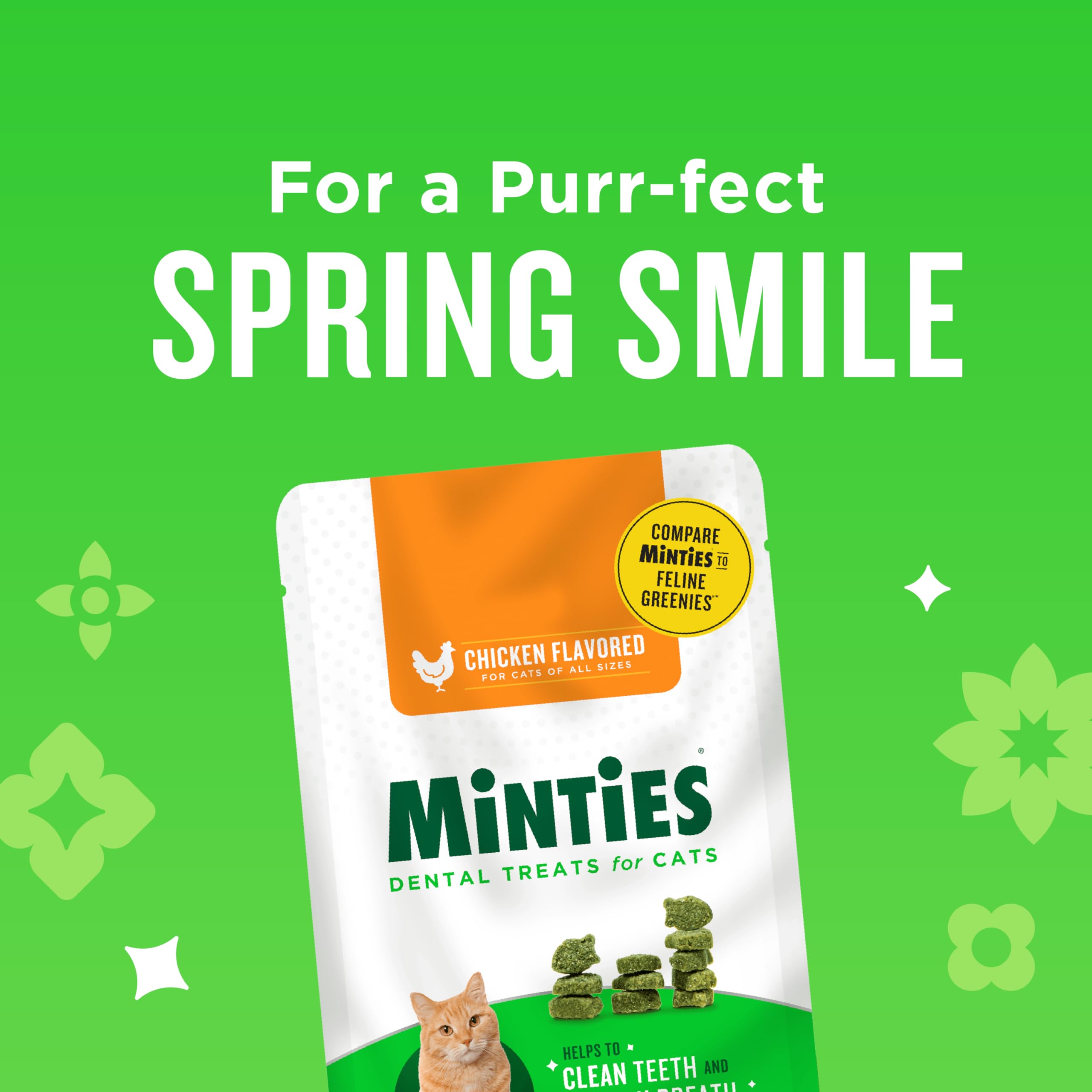 Minties cat dental treats providing breath freshening effect after meals