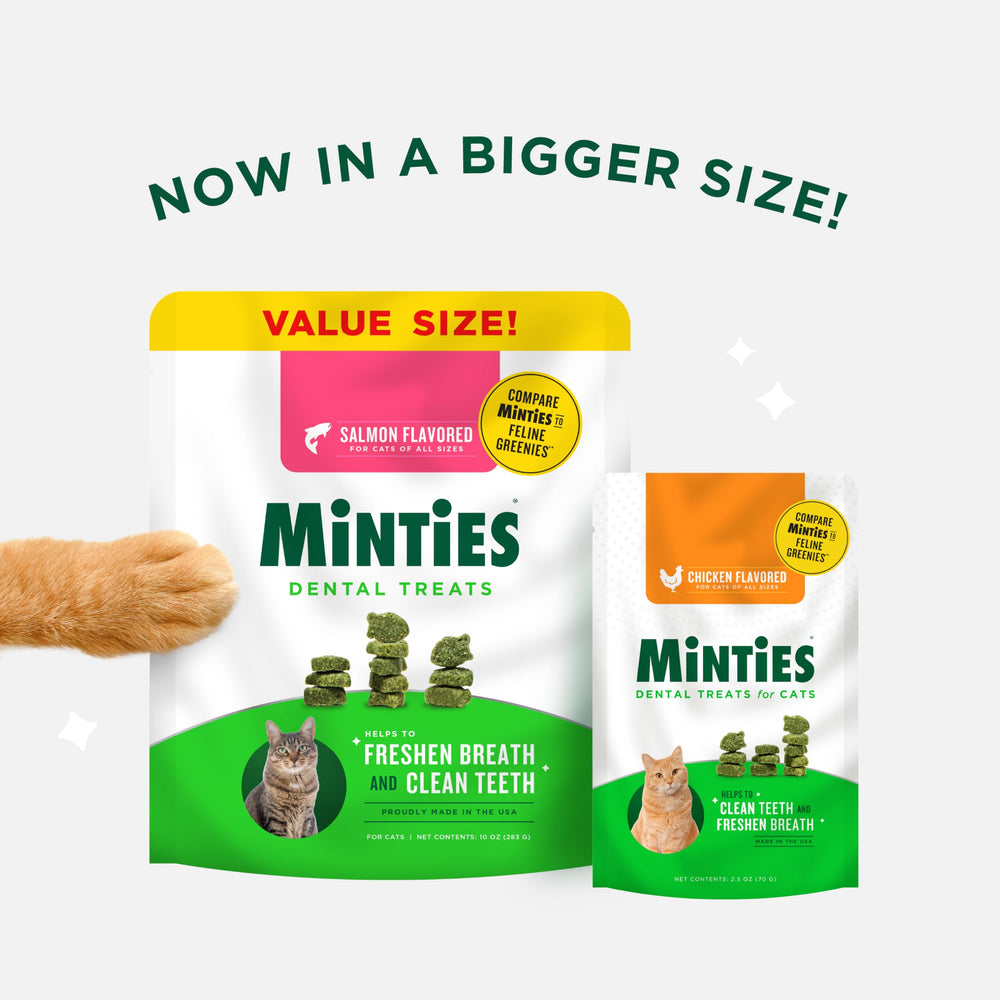 Crunchy Minties cat dental treats texture that cats love during snacks