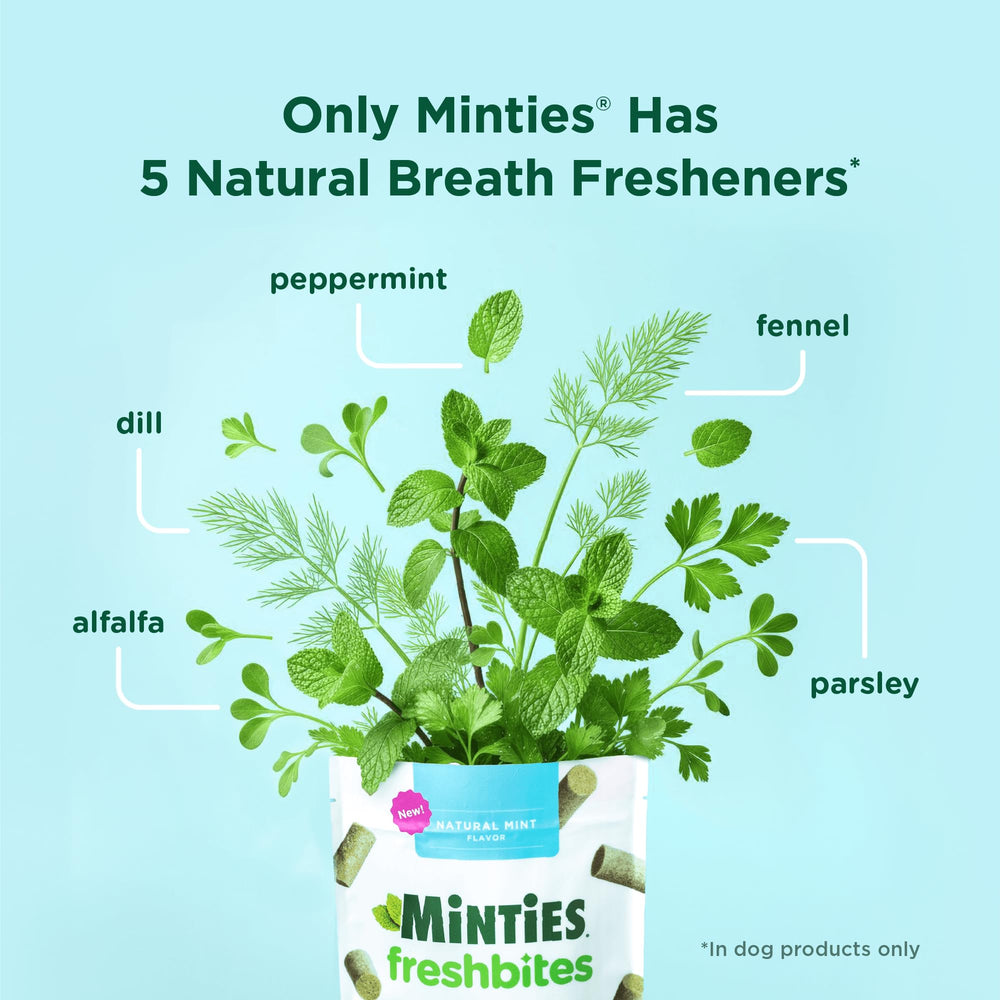 Minties FreshBites sabor pollo natural que conquista paladares exigentes.