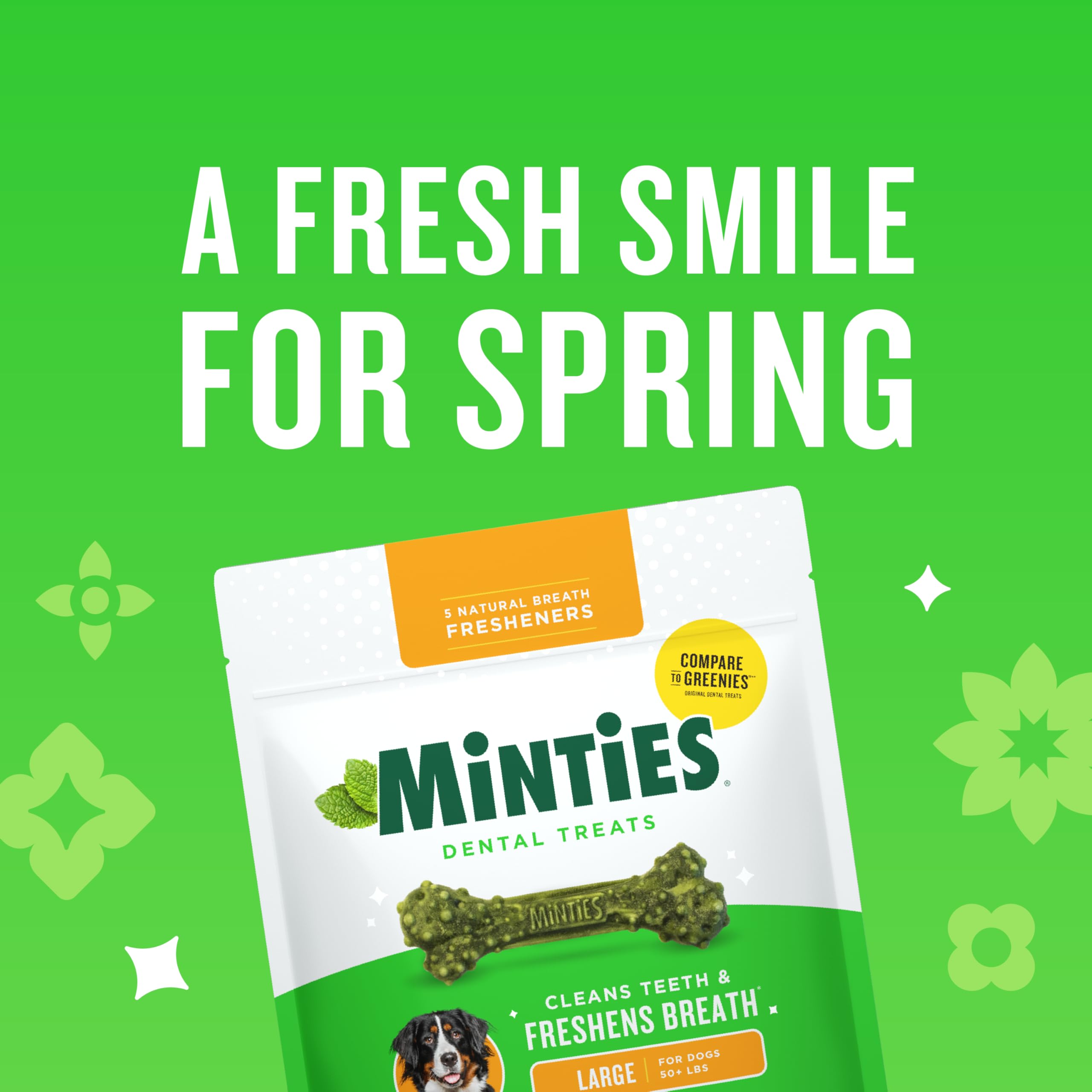 Minties: perro grande masticando un hueso dental, textura limpiadora