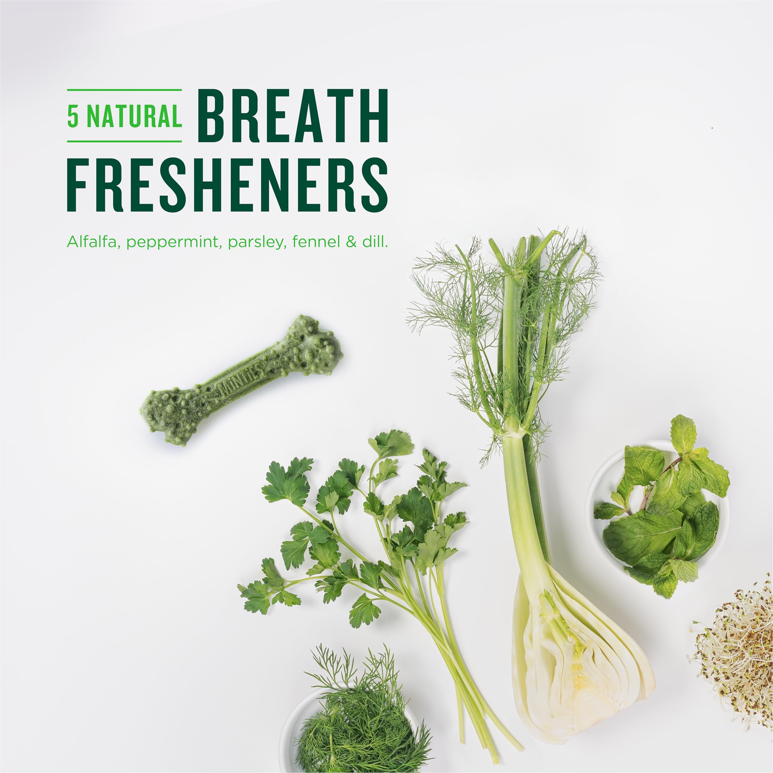 Minties: sabor herbal que agrada a perros y facilita la rutina diaria.