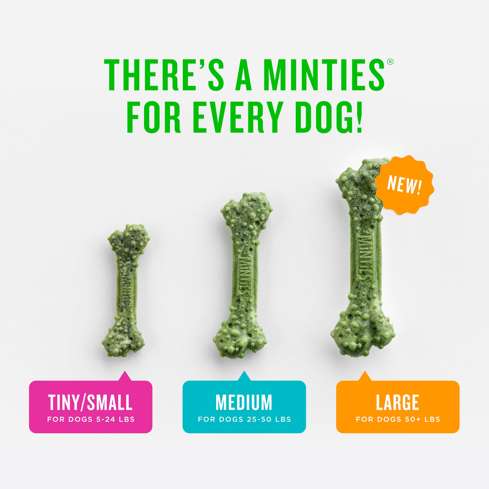 Minties sin gluten para perros, opción dental sabrosa y segura.