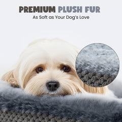 Funda desmontable lavable de la cama Miorun con forro impermeable.
