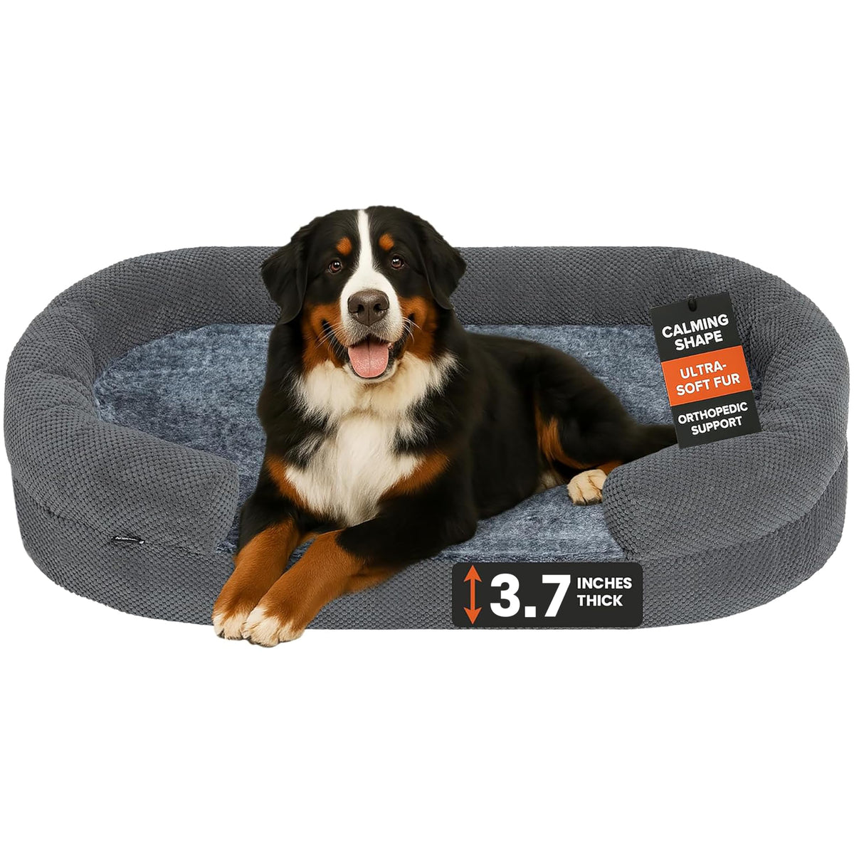 Cama Miorun con espuma de memoria para soporte suave y distribución del peso.