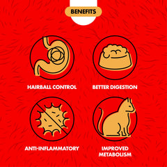 Kit de hierba Miracle Care para gatos, crecimiento rápido en casa.