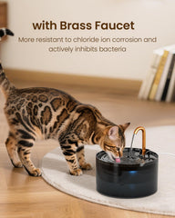 MISFANS con filtración dual que purifica el agua para beber gatos.