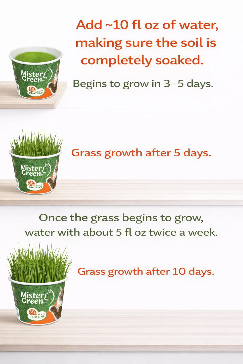Mister Green Pet Cat Grass Grow Kit – grama fresca para gatos dentro de casa