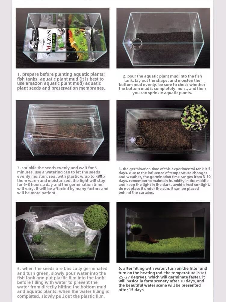MISUHALOU plantas oxigenantes: contribuyen a un ecosistema equilibrado.
