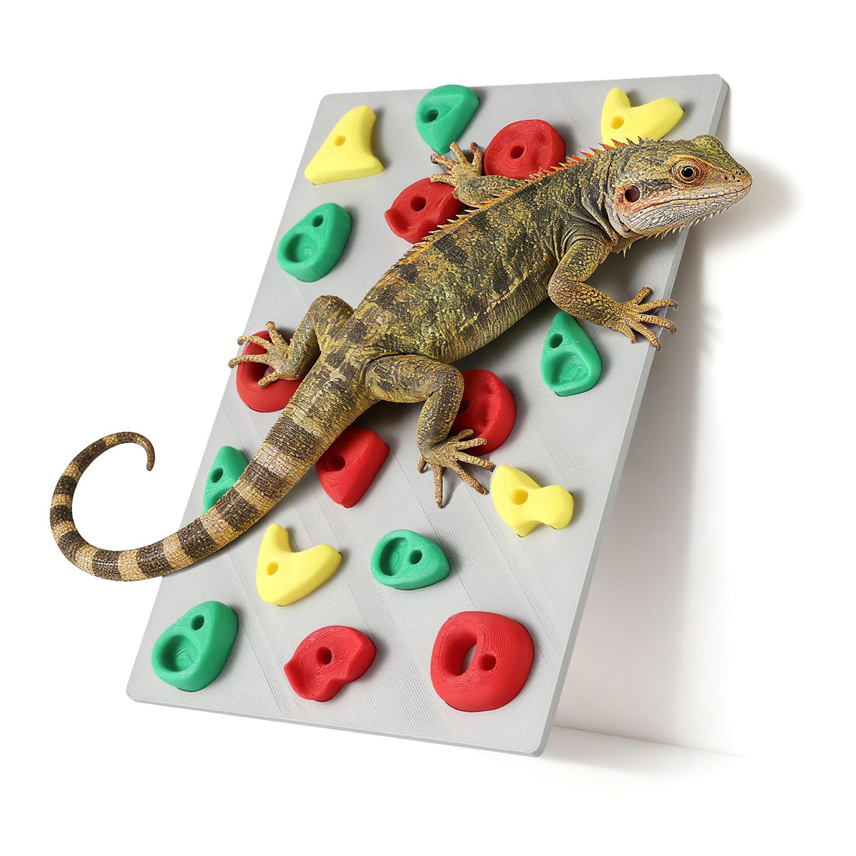 MITCHENIFY muro de escalada para reptiles en terrario, promueve exploración y ejercicio