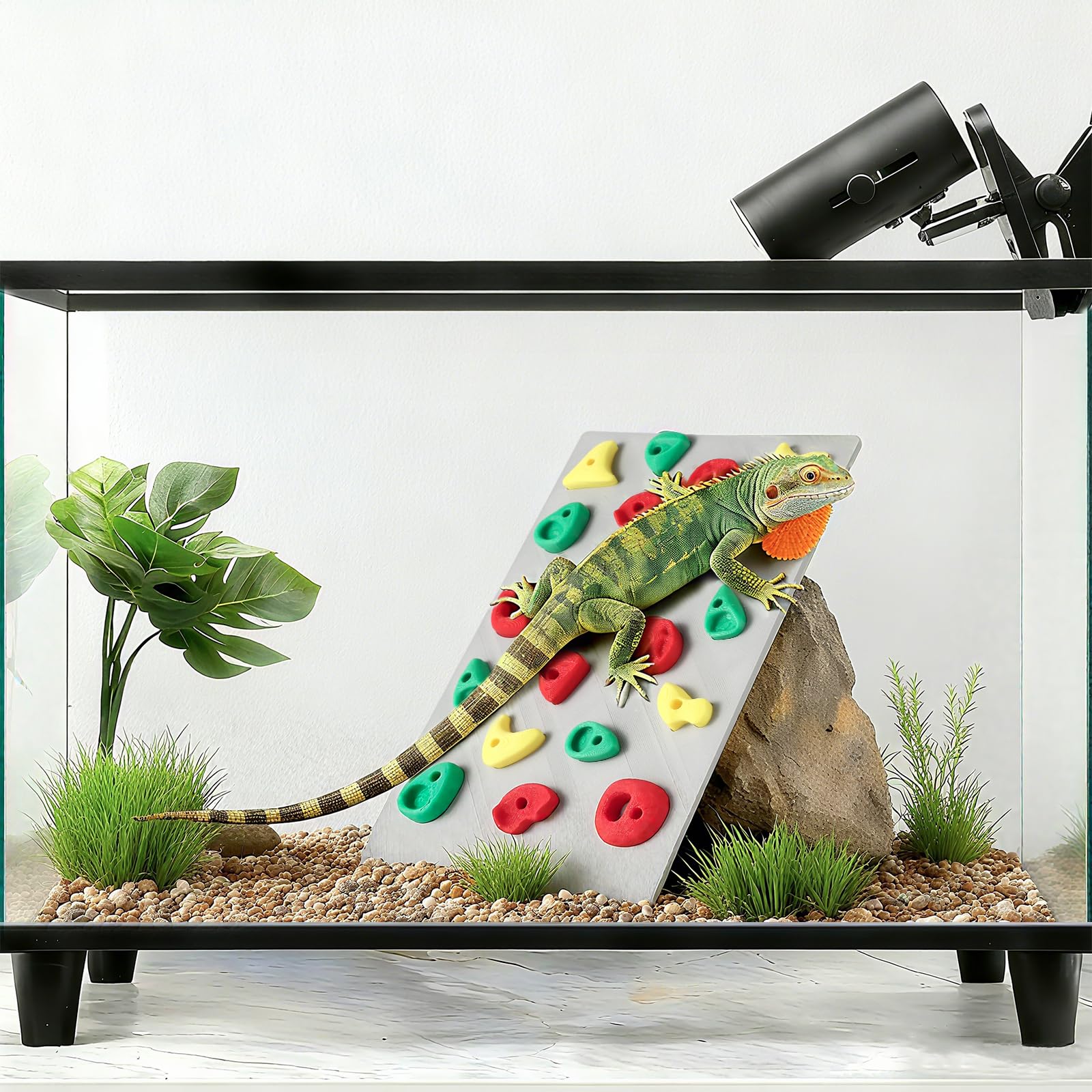 MITCHENIFY placa subida para terrario, ideal para reptiles jóvenes
