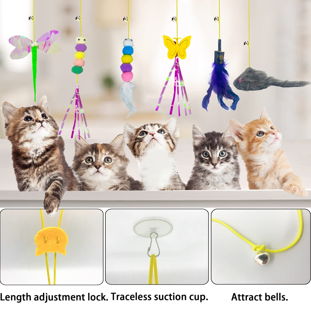 Mitubati Pack 6 Juguetes, diversión continua para varios gatos