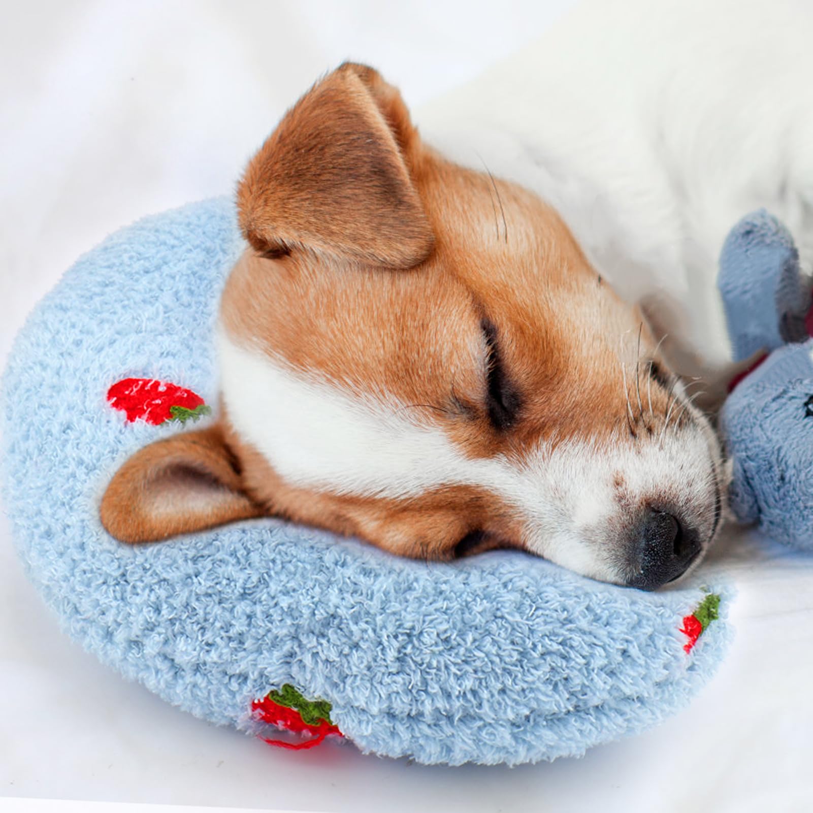 Almohada para perros Mity Rain: alivio de ansiedad y compañía suave para dormir.
