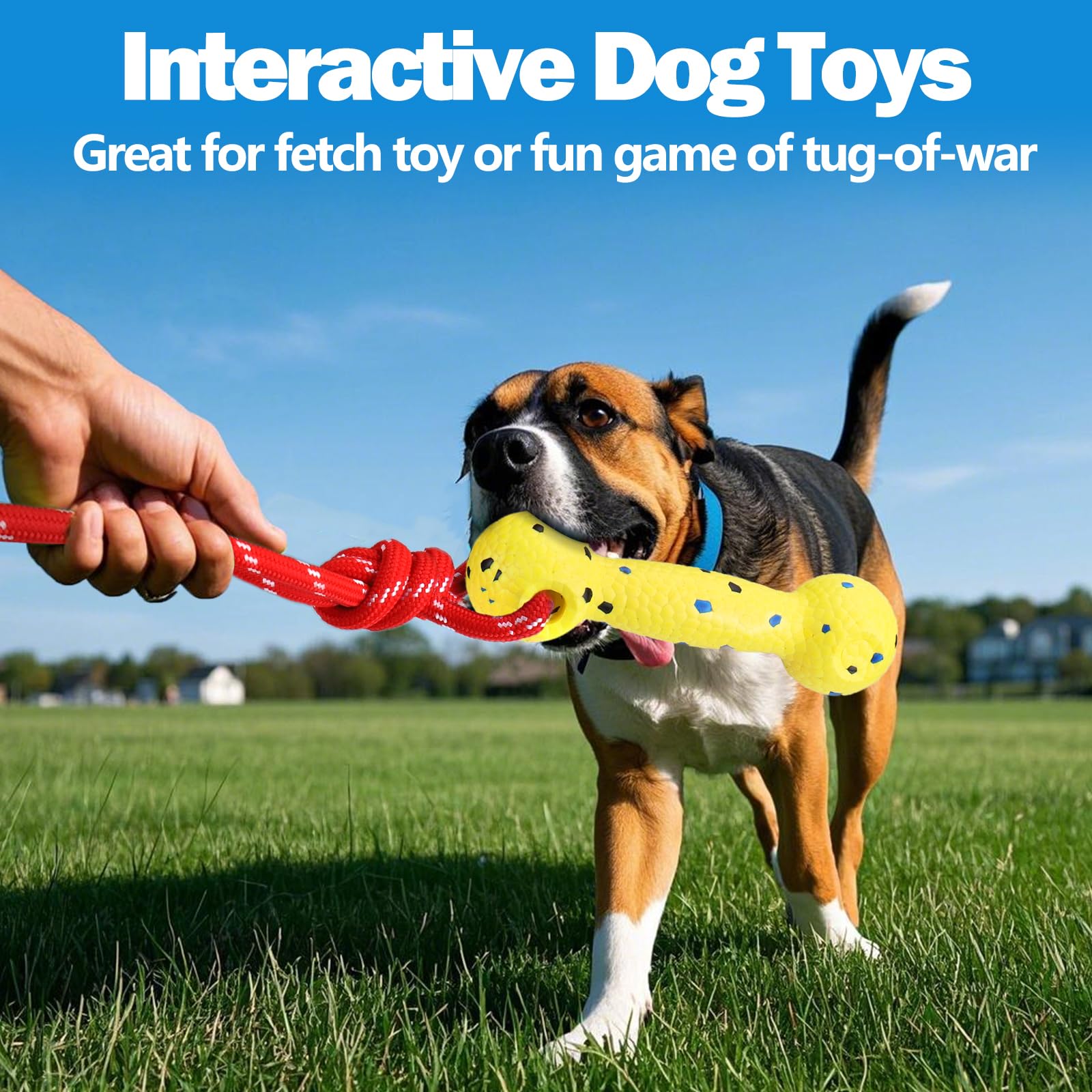 Mity Rain cuerda interactiva para perro, ideal para juego y entrenamiento.