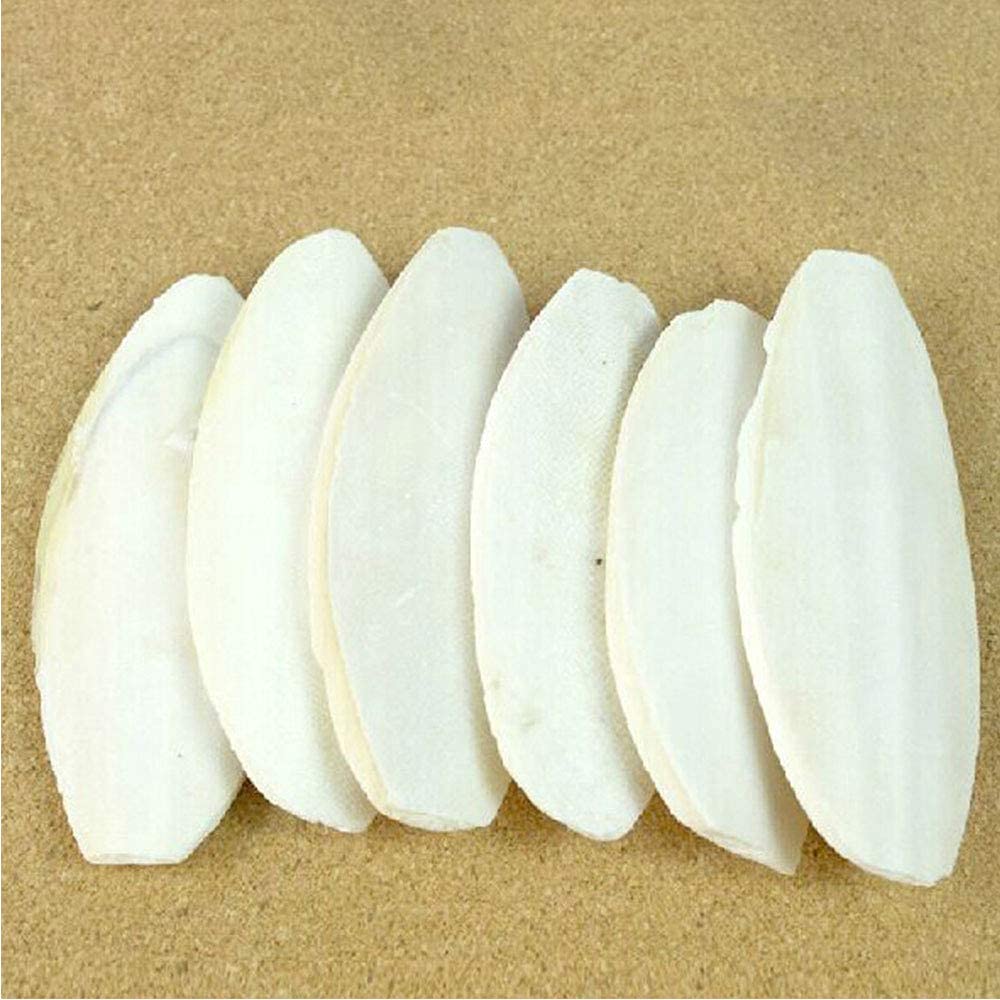 Empaque compacto de Mivofun con dos huesos cuttlebone.