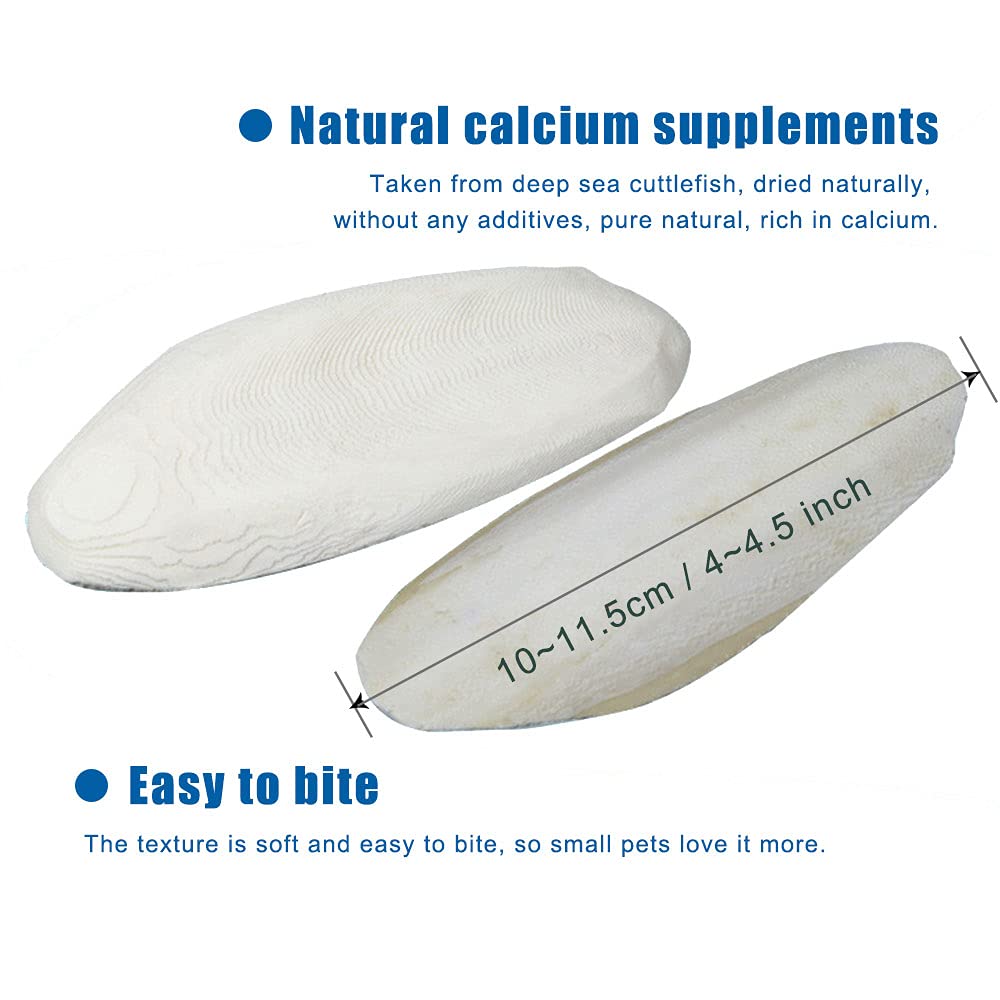 Hueso cuttlebone de Mivofun para aves pequeñas, calcio natural.