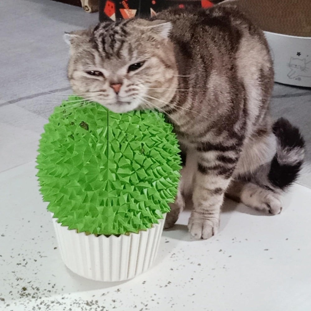 Miwoowim base en forma de durian para gatos, resistente y estable.