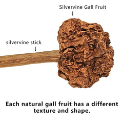Miwoowim Juguete Dental Lollipop Silvervine de 5,2 pulgadas para masticar.