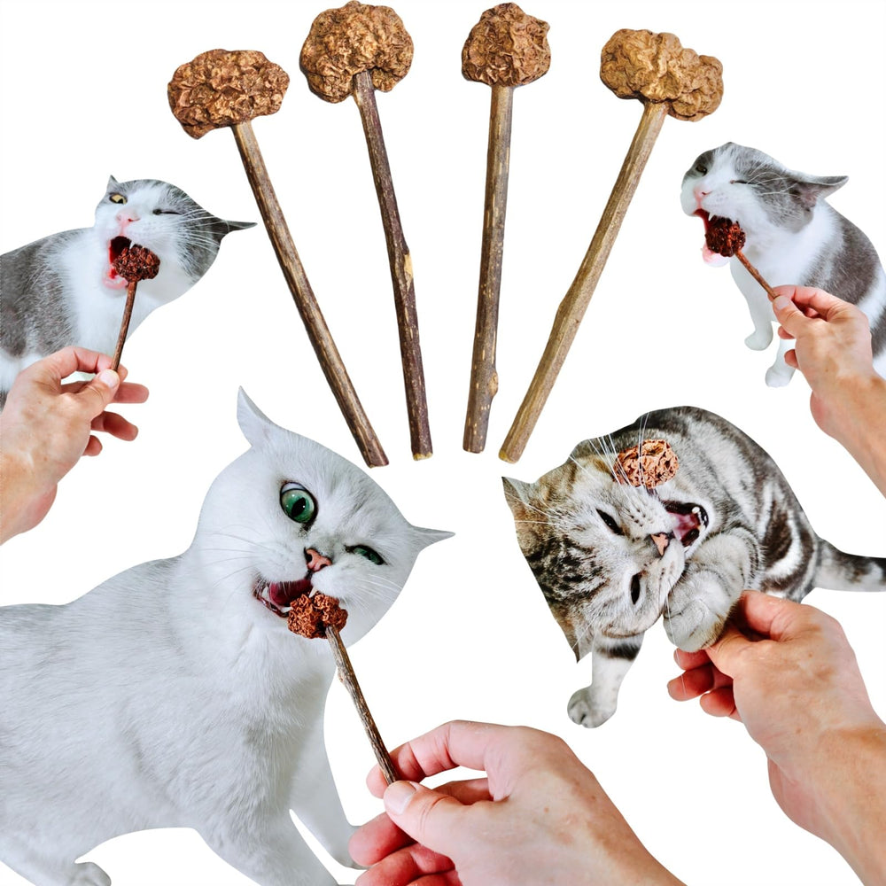 Miwoowim Juguete Gato Palito Silvervine para juego interactivo y exploración.