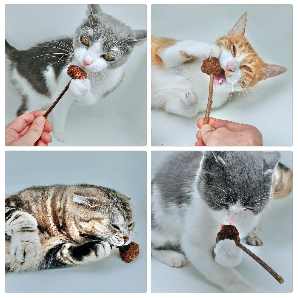 Miwoowim Regalo ideal para amantes de gatos que buscan entretenimiento seguro.