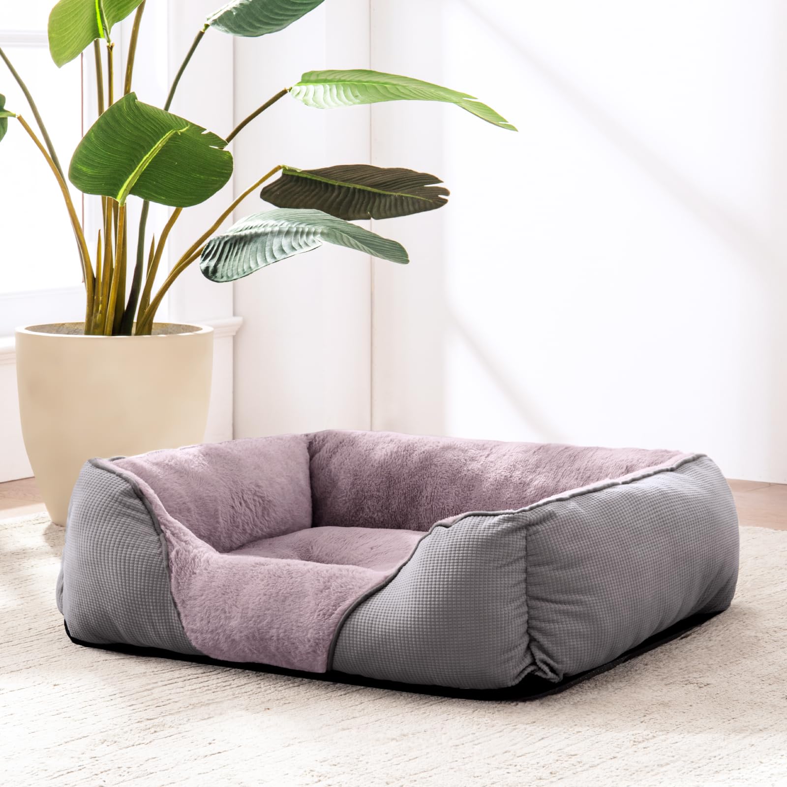 MIXJOY cama gris, ideal para interiores y hogares pequeños
