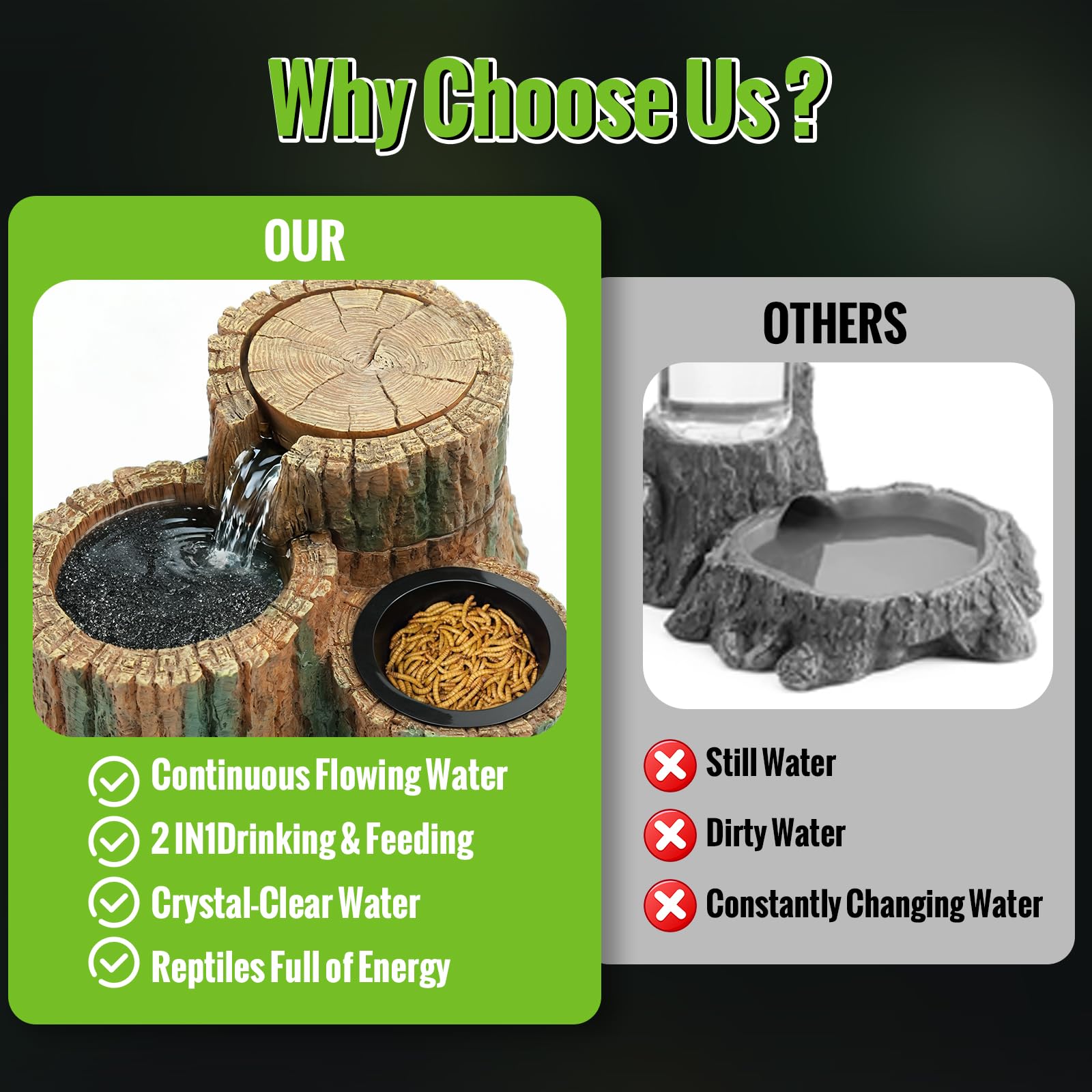 MIXJOY diseño natural: mejora la estética del terrario y el ambiente.