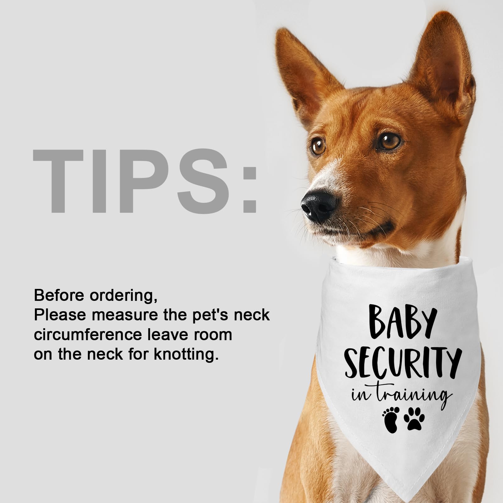 Bandana Mixrowa para perro: contraste vistoso para fotos y eventos.