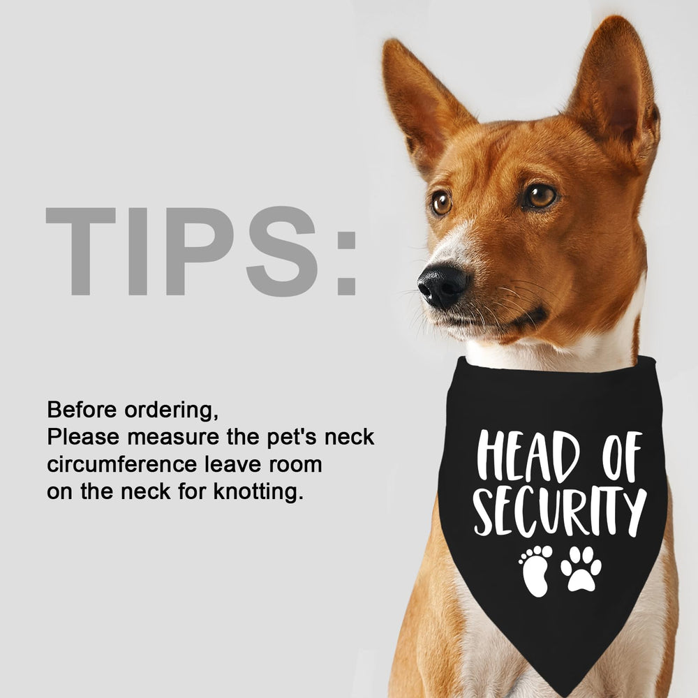 Bandana Mixrowa para perro: ideal para estilo informal diario.