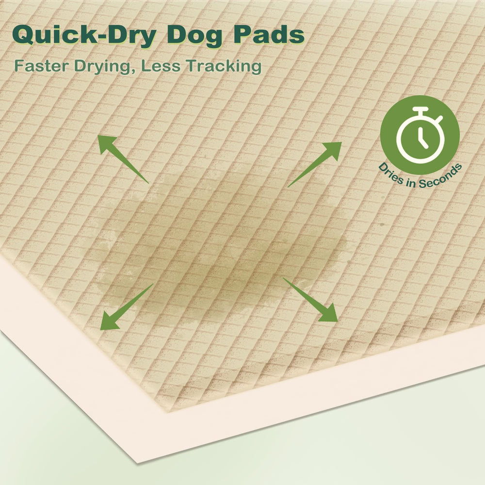 MIZOK capacidad de absorción rápida, hasta 4 tazas de líquido