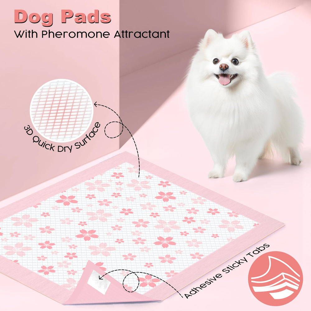 Paquete de 50 almohadillas Mizok en caja discreta para almacenamiento.