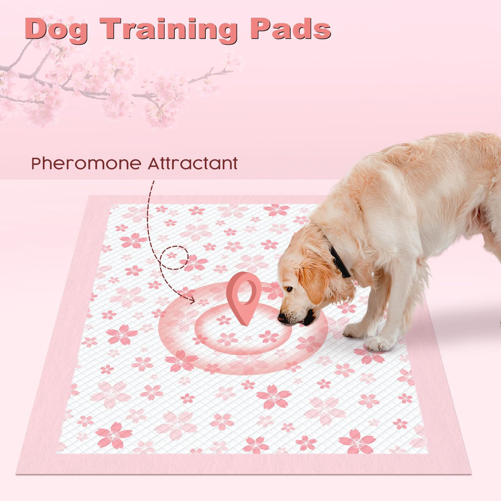 Almohadillas MIZOK con atractor feromónico para entrenamiento más fácil.