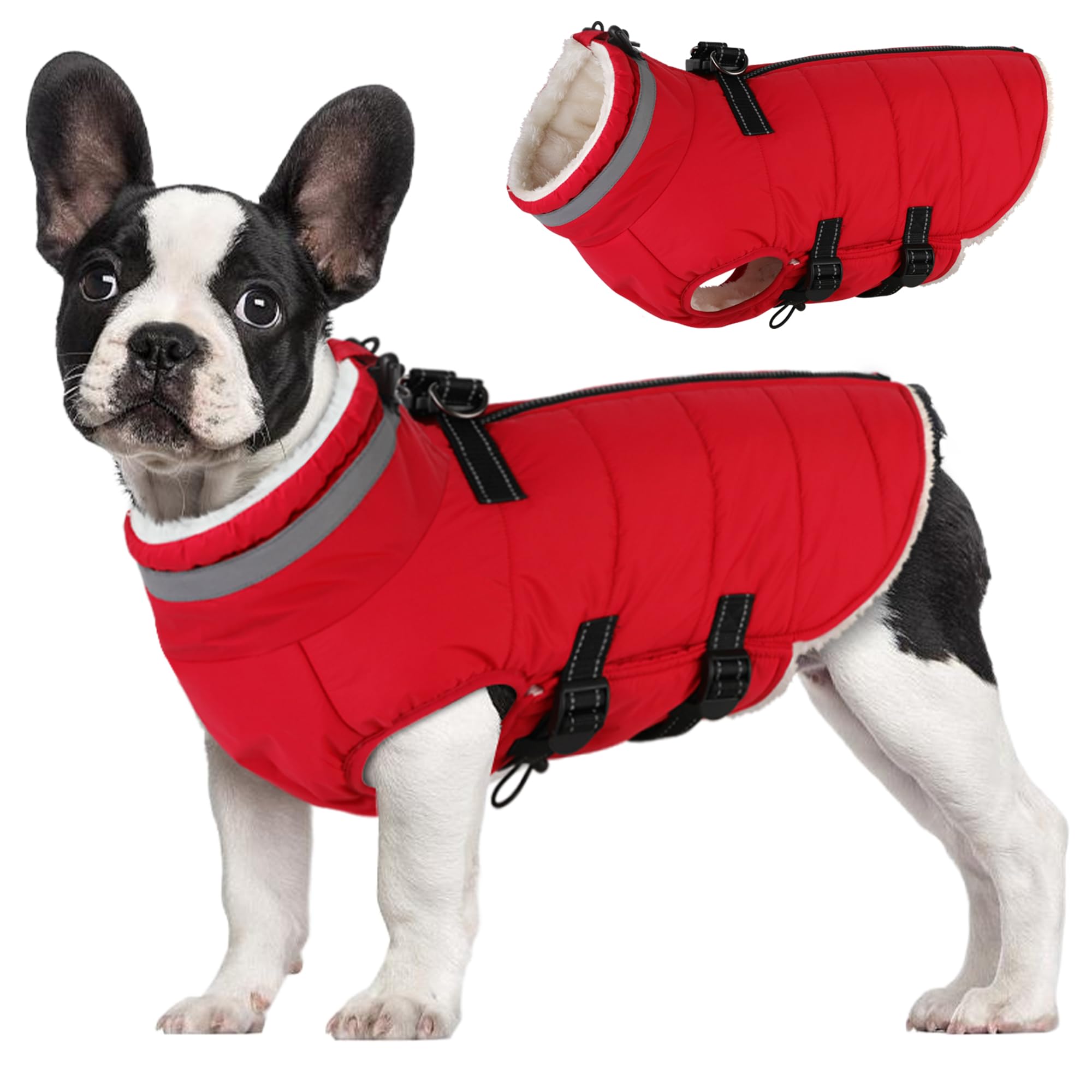 Mklhgty abrigo para perro pequeño con arnés integrado, ideal para paseos diarios.