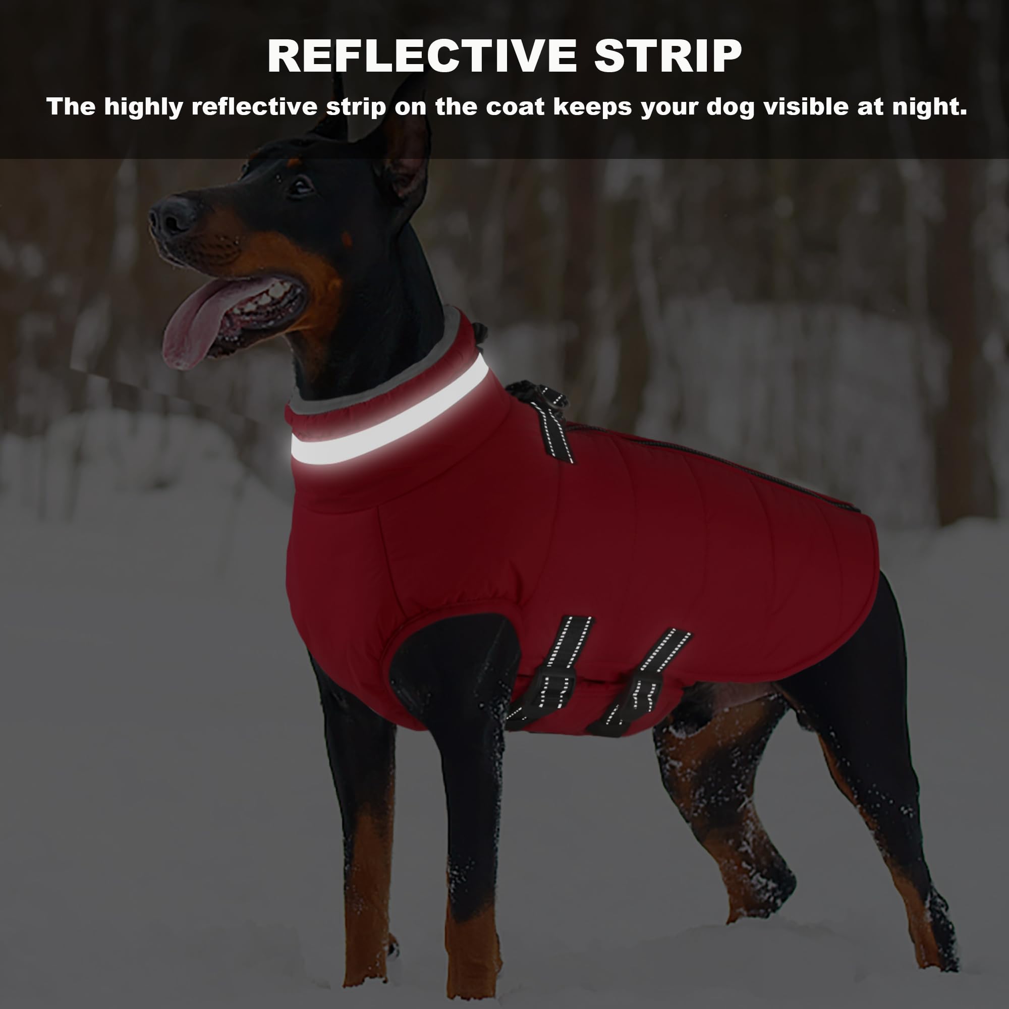 Mklhgty bandas reflectantes mejoran la visibilidad nocturna