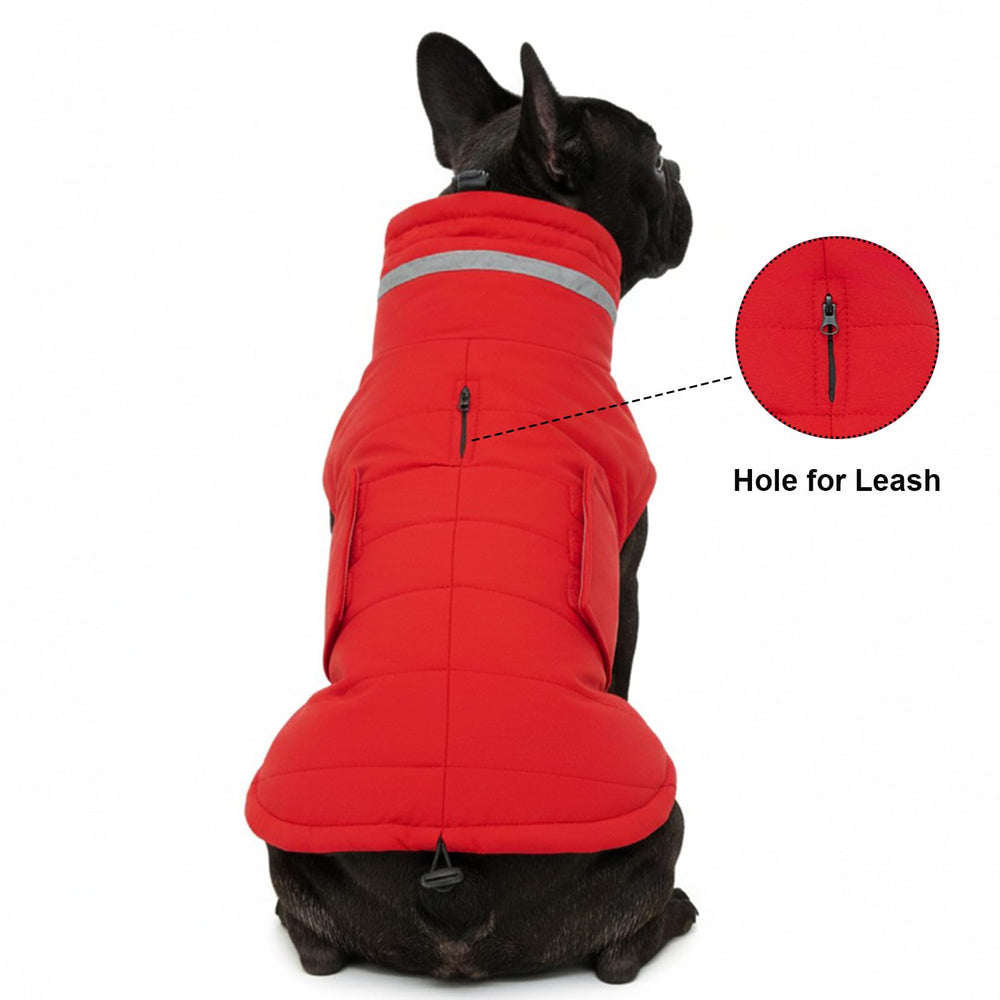 Cuello alto ajustable de la capa Mklhgty protege contra viento y frío.