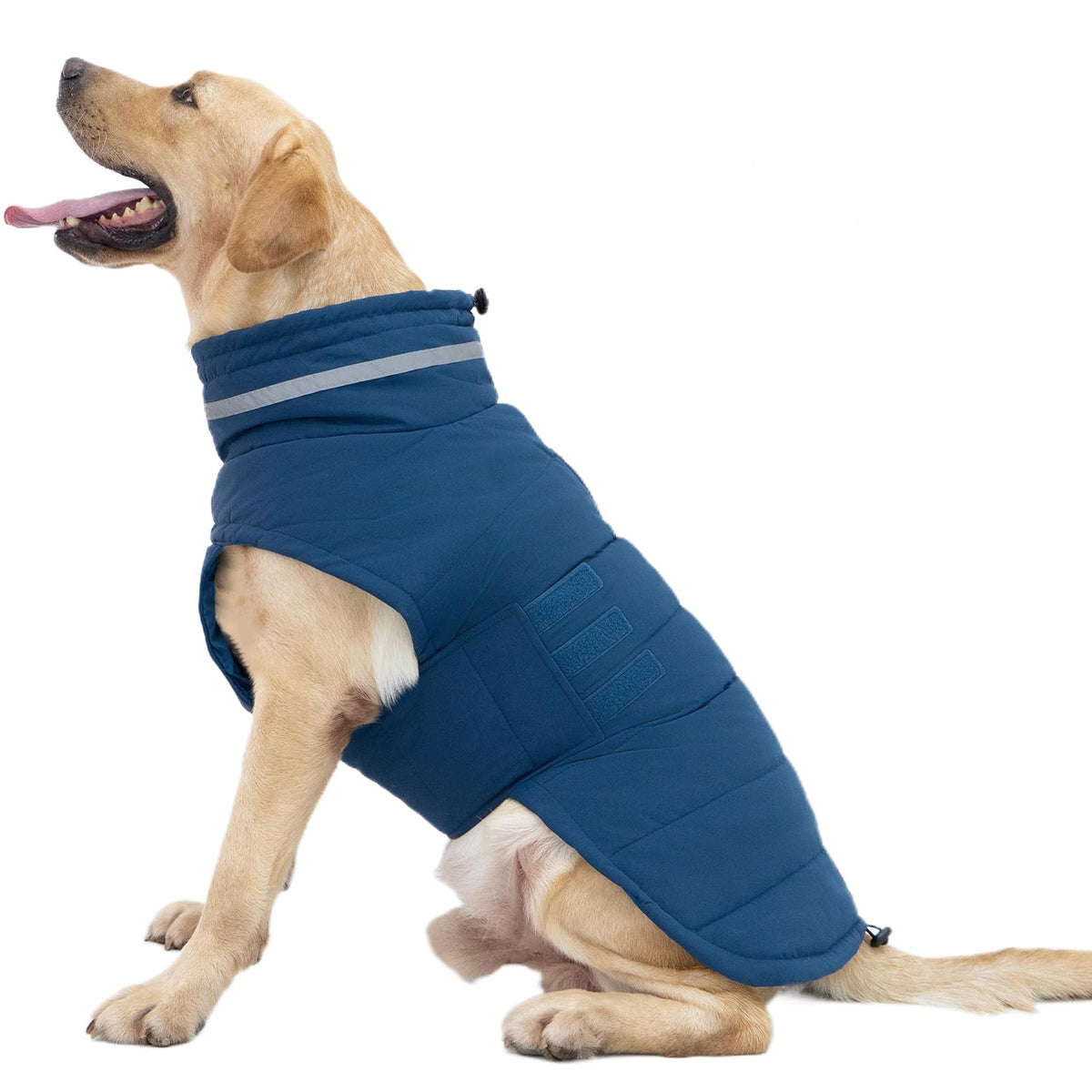 Mklhgty capa perro grande azul inviernos: mantiene calor y protege de la lluvia.