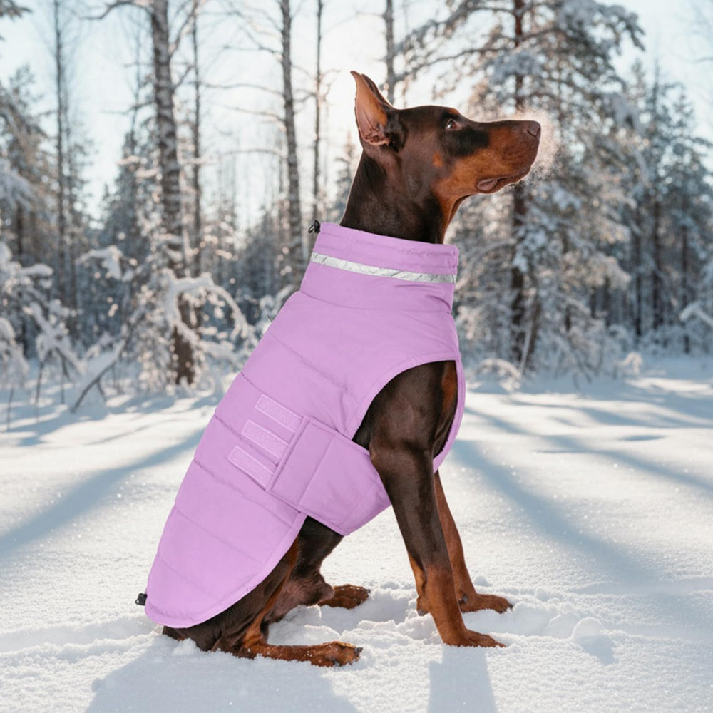 Uso diario de Mklhgty en lluvia y nieve para mantener al perro seco.
