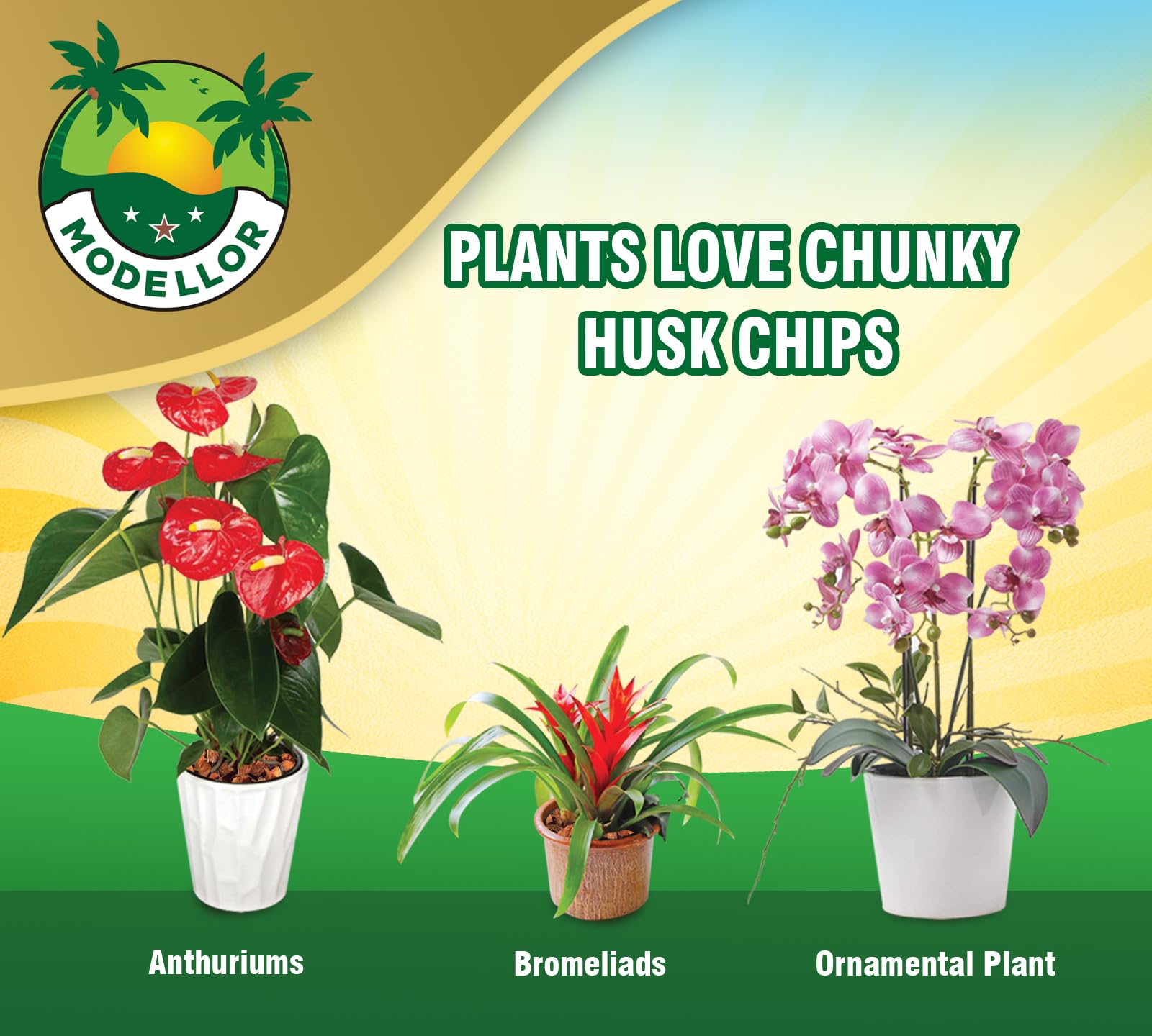 MODELLOR mulching interior y exterior para jardines sostenibles.