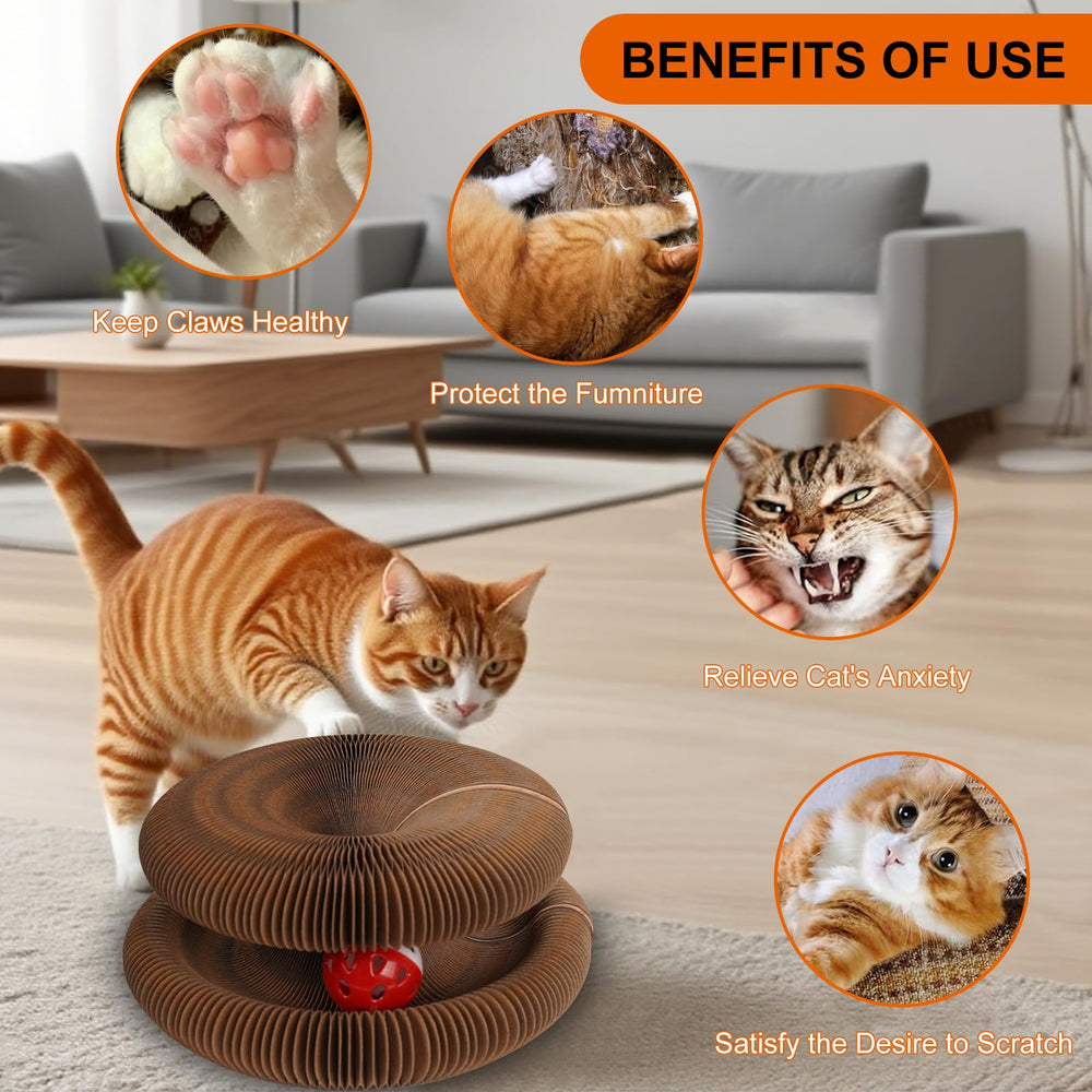 MoeQOassis Kitty Kurls: diseño plegable para guardado y transporte cómodo