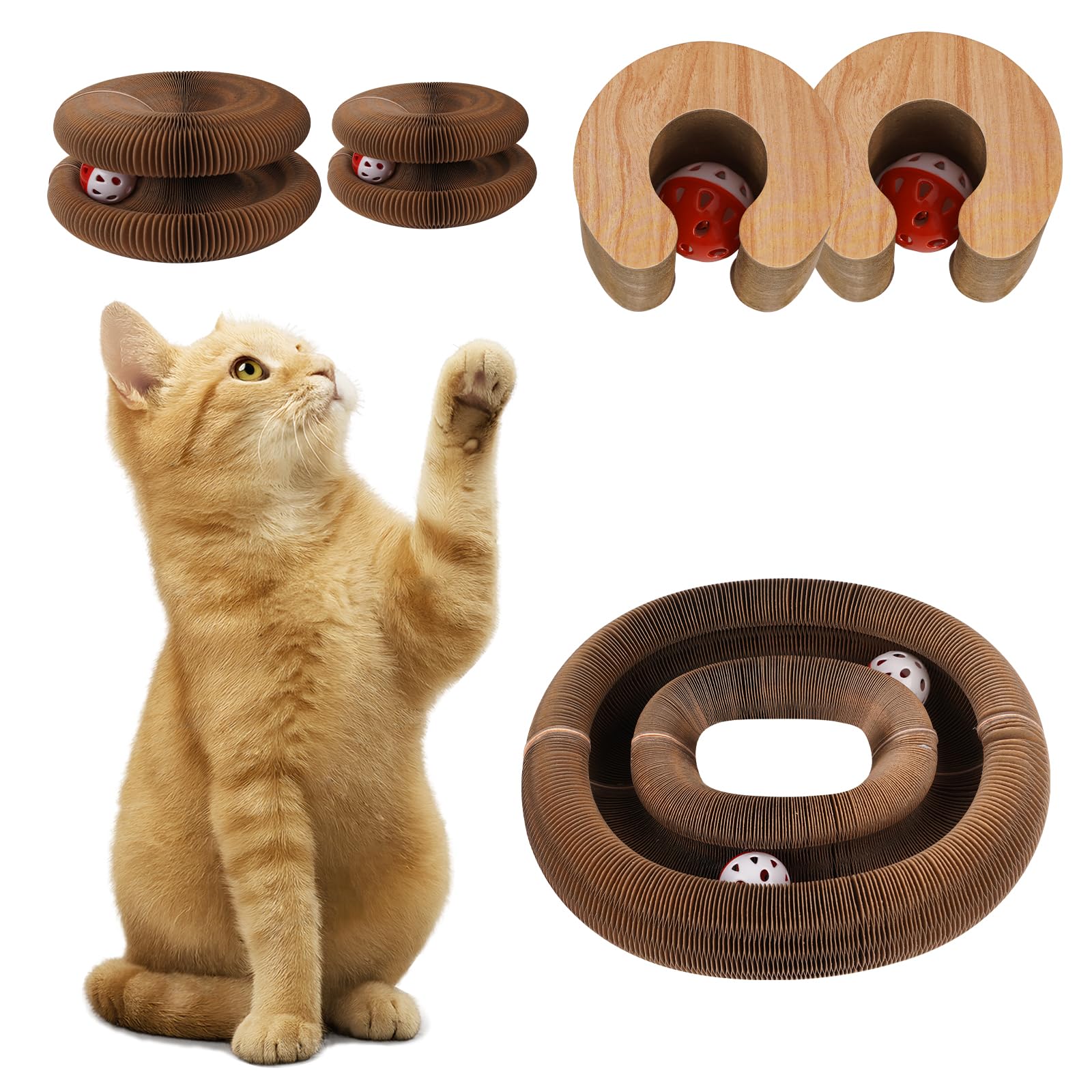 MoeQOassis Kitty Kurls: juguete interactivo ideal para gatitos y gatos adultos