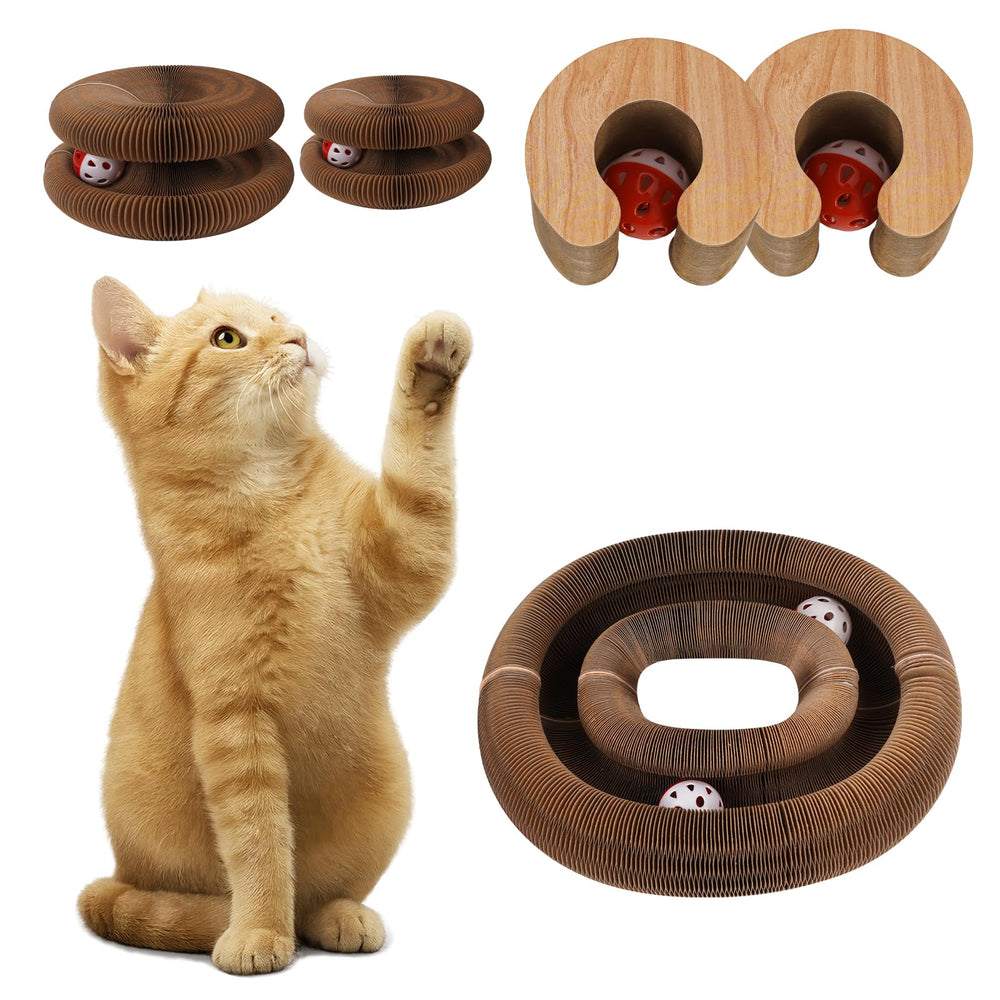MoeQOassis Kitty Kurls: juguete interactivo ideal para gatitos y gatos adultos