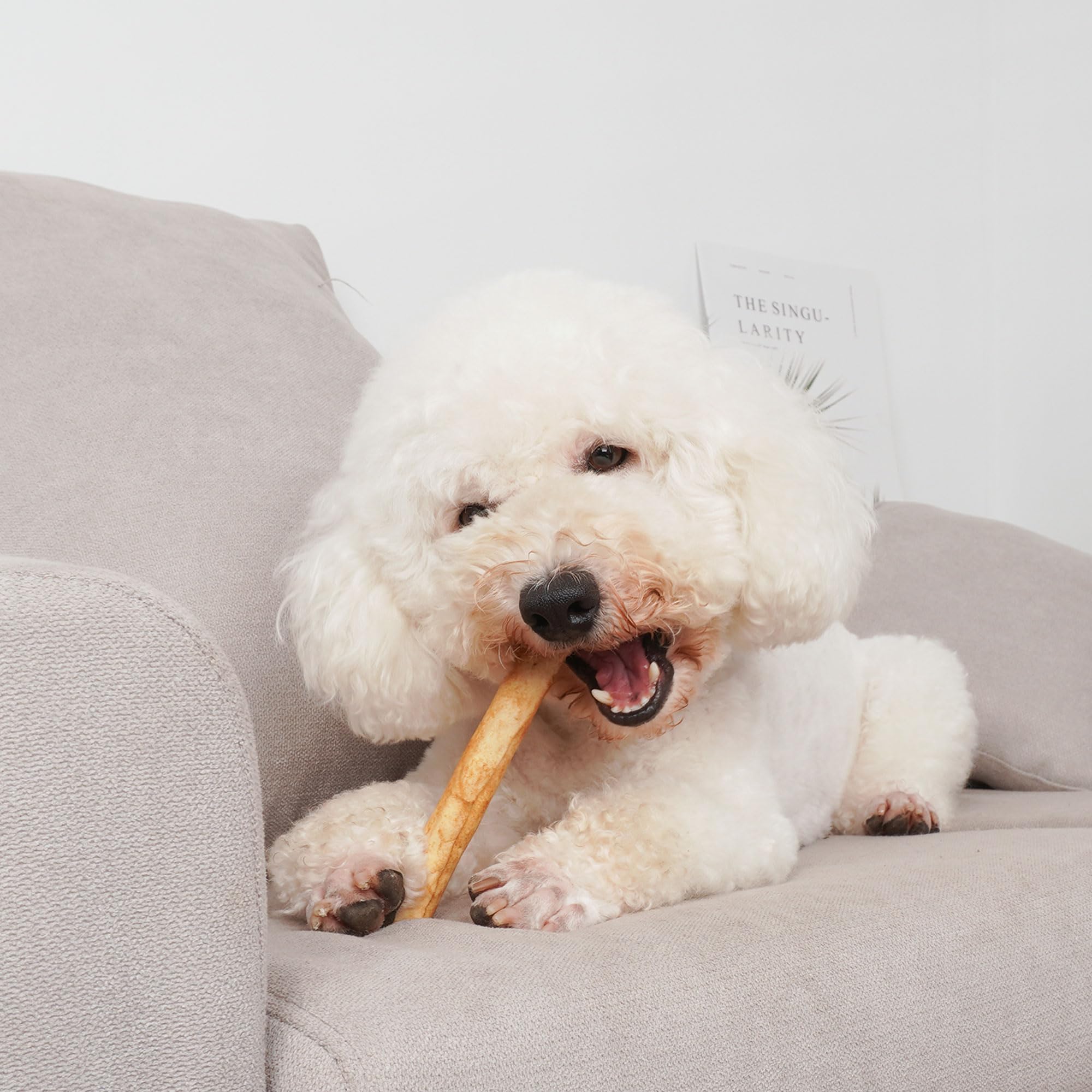 MON2SUN torsades rawhide pour petit chien, 6-5 pouces, plaisir de mastication prolongé.