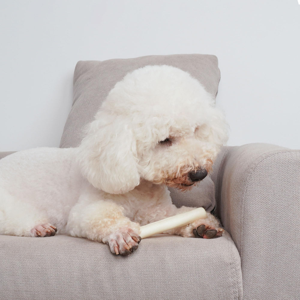 MON2SUN Masticación para perros pequeños, estimula juego seguro y entretenido