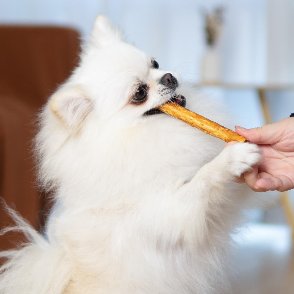 MON2SUN sabor a pollo para perros: snack sabroso y fácil de digerir.