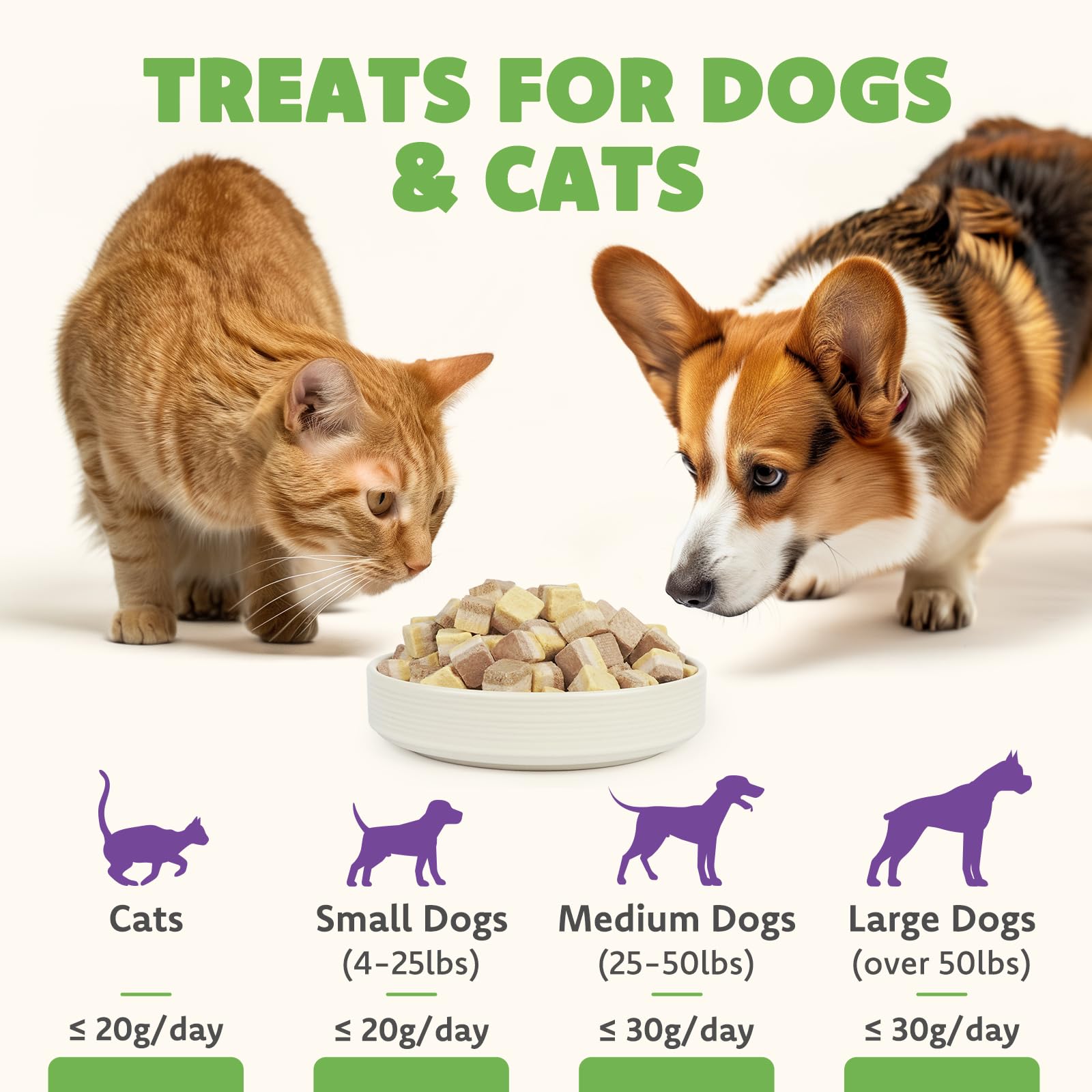 MON2SUN porciones compactas para cachorros y felinos
