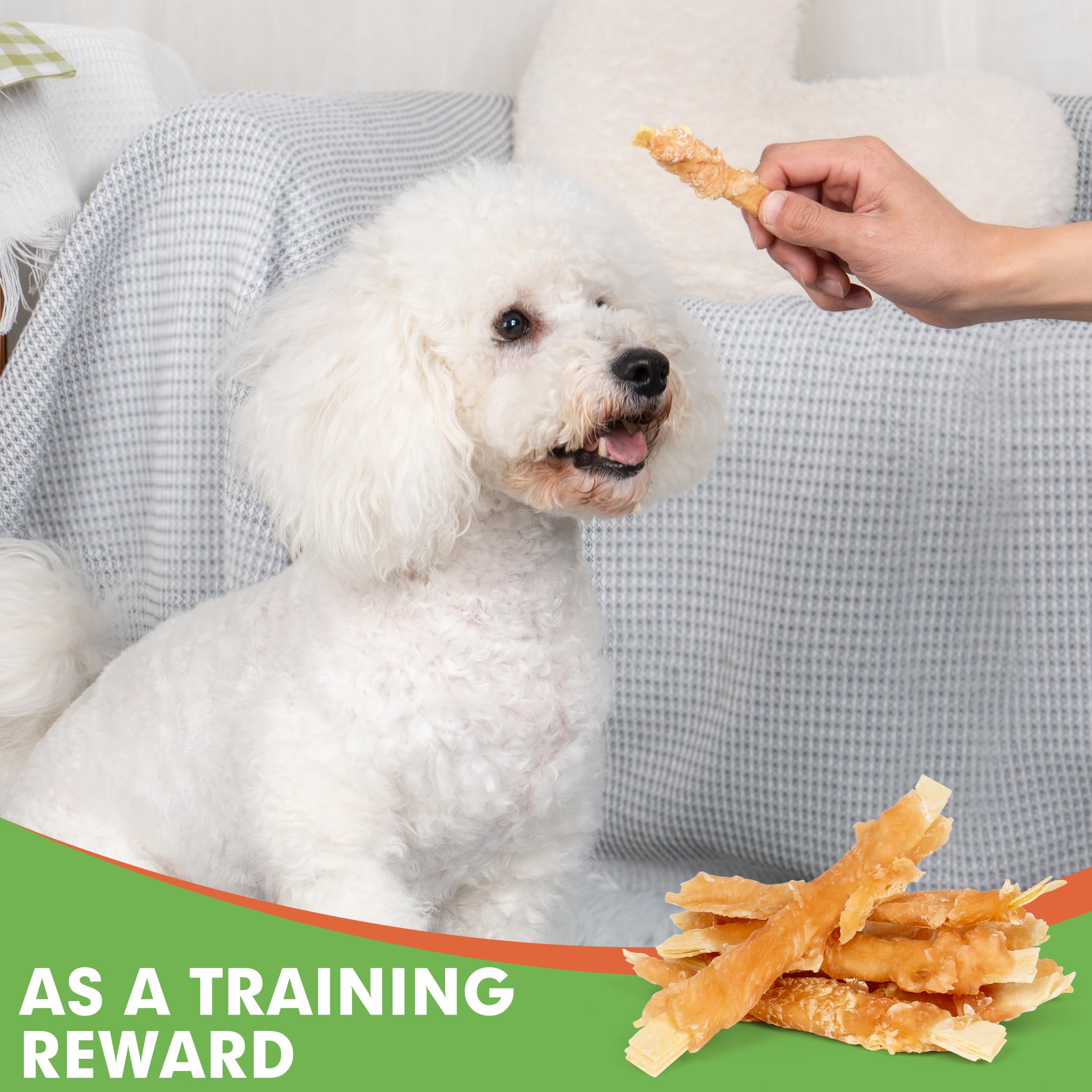 MON2SUN premios para entrenamiento, refuerza la relación con tu perro