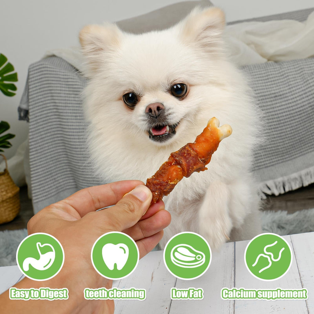 MON2SUN Favorece la relación dueño-perro durante las sesiones de juego.